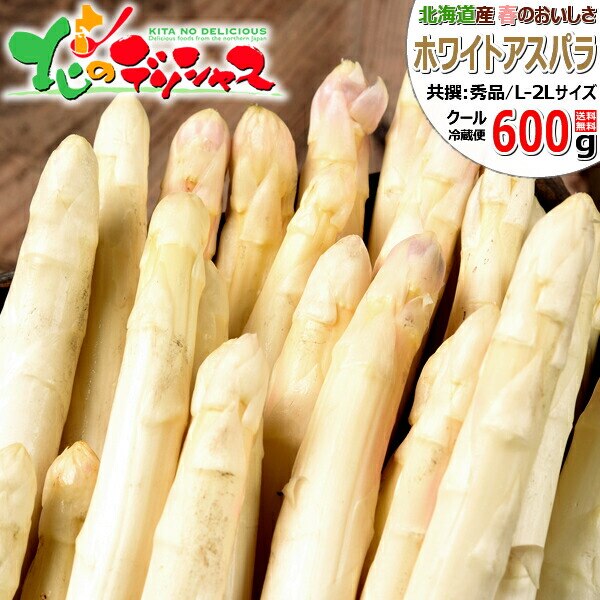 �y�\��z�k�C���Y �z���C�g�A�X�p�� 600g (����/L-2L�T�C�Y) �M�t�g ���ƒ�p �k�C�� ��� ������