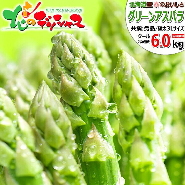 �y�o�ג��z�k�C���Y �O���[���A�X�p�� 6kg (����/�ɑ�/3L�T�C�Y) �M�t�g ���ƒ�p �k�C�� ��� ������