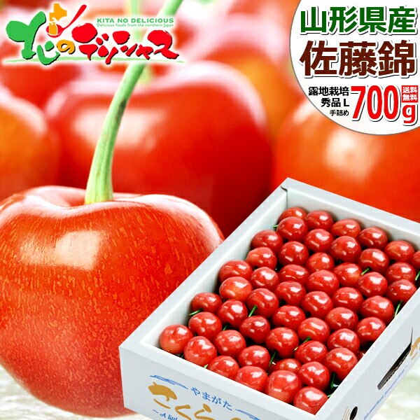 �y�\��z�R�`���Y �������� ������ 700g (�G�i/L�T�C�Y/��l��/�N�[����) �M�t�g ����p �ƒ�p