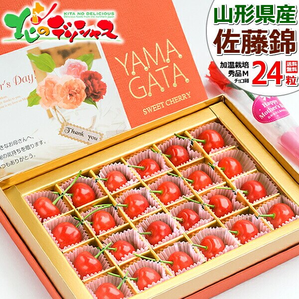 �y�\��z��̓� �������� ������ (�����n�E�X/�G�i/M�T�C�Y/24������) �M�t�g �v���[���g ��̓��M�t�g