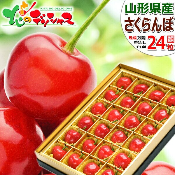 �y�\��z�R�`���Y �Ӑ� �������� (�����i/�G�i/L�T�C�Y/��l��/1��24������/�N�[����) ������ �M�t�g