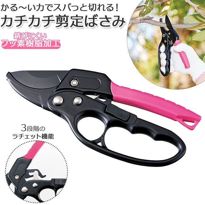 ����΂��� ���`�F�b�g�� �ʔ� ����o�T�~ ���� �n�T�~ �͂��� ������ ����͂��� ����n�T�~ �}�؂�͂��� �}�؂�o�T�~ ��� �A�� ���} �K�[�f�j���O ���| �_��� ����₷���J�`�J�`����΂��� ����ɂ��� �O��