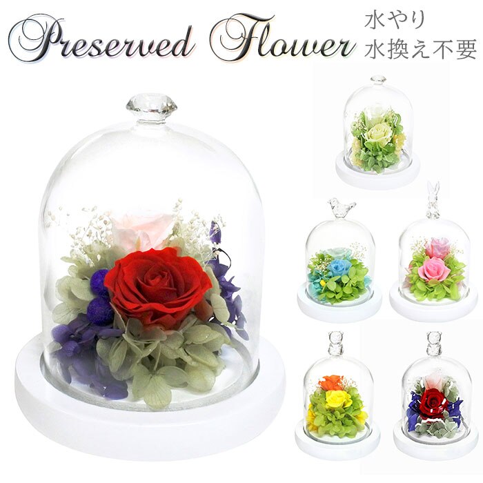 �x�A�I�����W �v���U�[�u�h�t�����[ �K���X�h�[�� �ʔ� ���`�[�t�h�[���A�����W�����g �A�����W�����g�t�����[ �ԃM�t�g ������� �͂�Ȃ� �����s�v �����j�� �җ�j�� �h�V�̓� ��̓� �a���� �v���[���g