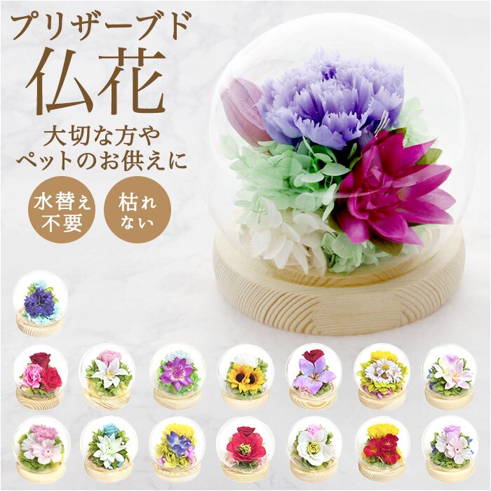 ������ �K���X�h�[�� ���{ ���� �ʔ� �t�����[�A�����W�����g �v���U�[�u�h�t�����[ �v���U�[�h�t�����[ ������ ���� ���� ��̂Ђ�T�C�Y �h�[�� �h�[���^�C�v ���d�p ���~ �� �t�����[ �͂�Ȃ� ������ �l�G ��