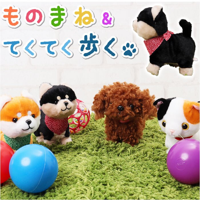 �����V�o �܂˂܂˃g�R�g�R �ʂ������ ������؂� �ʔ� �܂˂܂� �g�R�g�R �܂˂܂˂ʂ������ �����Ă܂˂܂� �����ă��m�}�l �������� ���̂܂� ���m�}�l �l�` ���� ����ׂ� ���� ���킢�� �O�b�Y �I�X�g