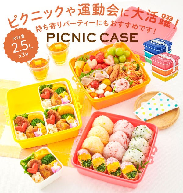 �ٓ��� 3�i �� �ʔ� �d�� ���d 3�i �O�i �X�N�G�A�^ �p�^ �����`�{�b�N�X �����`BOX �s�N�j�b�N�P�[�X �s�y�ٓ� �R���p�N�g �傫�� �傫�� �t�@�~���[�T�C�Y �Ƒ� �^���� �s�N�j�b�N 2�i�Ƃ��Ă��g���� ���Ԍ�