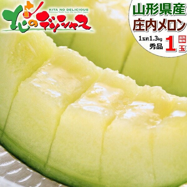 �y�\��z�R�`���Y �������u������ 1�� (��/�G�i/1�� ��1.3kg) ������ ������ �ʕ� �t���[�c ������