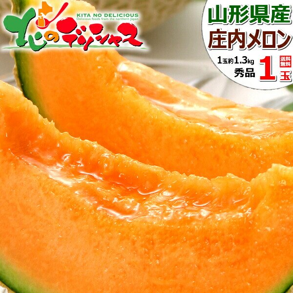 �y�\��z�R�`���Y �������u������ 1�� (�ԓ�/�G�i/1�� ��1.3kg) ������ ������  �ʕ� �t���[�c ������