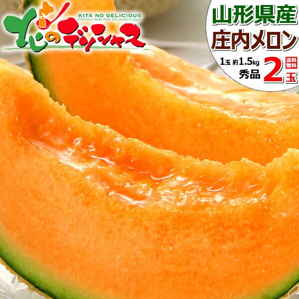 �y�\��z�R�`���Y �������u������ 2�� (�ԓ�/�G�i/1�� ��1.5kg) ������ ������  �ʕ� �t���[�c ������