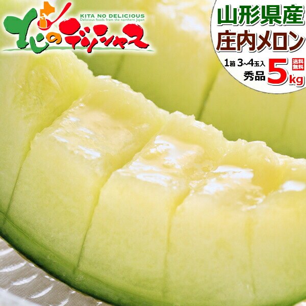 �y�\��z�R�`���Y �������u������ 5kg (��/�G�i/1�� 3~4�ʓ���) ������ ������ �ʕ� �t���[�c ������