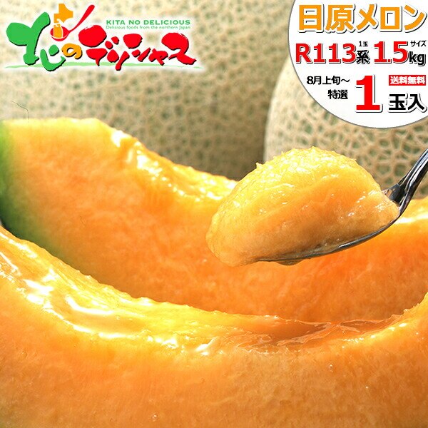 �y�\��z�k�C�� ���������� 1�ʓ��� (1�� 1.5kg/R113�n/�퉷��) �c�������� ���~ ������ ���蕨 ������