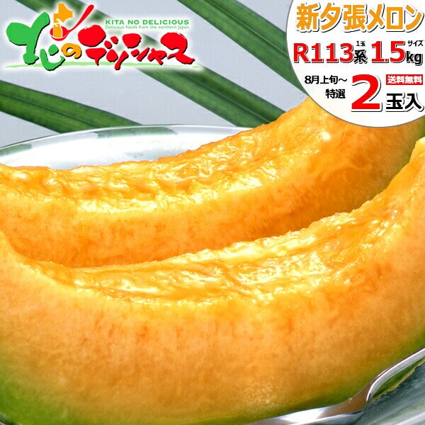 �y�\��z�k�C�� �V�[�����b�h 2�ʓ��� (1�� 1.5kg/R113�n/�퉷��) �c�������� ������ ���蕨 ������