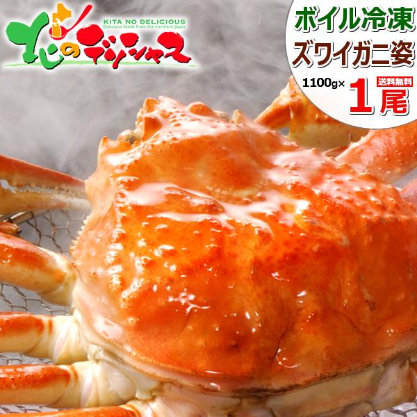 �J�j �Y���C�K�j 1100g�~1�� (�p/�{�C���Ⓚ) ������ ���킢�I �C�N �M�t�g ���ƒ�p ���� ������