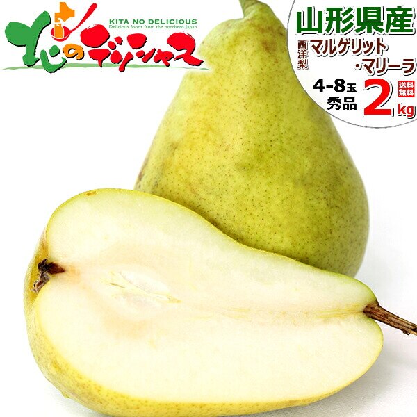 �y�\��z�R�`���Y ���m�� �}���Q���b�g�E�}���[�� 2kg (�G�i/4�ʁ`8�ʓ���) �m�� �M�t�g ���蕨 ������