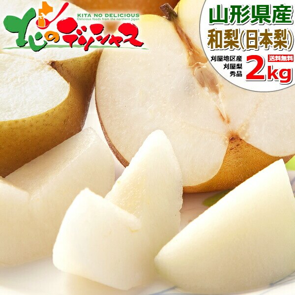 �y�\��z�R�`���Y �a�� ������ 2kg (�G�i/4�ʁ`7�ʓ���) ����◜ �c�������� �M�t�g ���蕨 ������