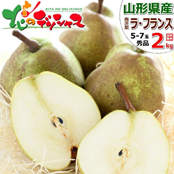 �y�\��z�R�`���Y ���m�� ���E�t�����X 2kg (�G�i/5�ʁ`7�ʓ���) �m�� �M�t�g ���蕨 ���� ������