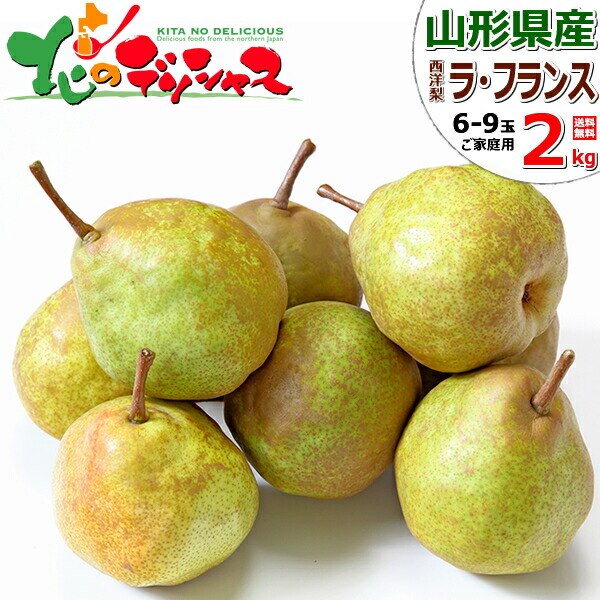 �y�\��z�R�`���Y ���m�� ���ƒ�p ���E�t�����X 2kg (�󂠂�/6�ʁ`9�ʓ���) �m�� �󂠂� ������