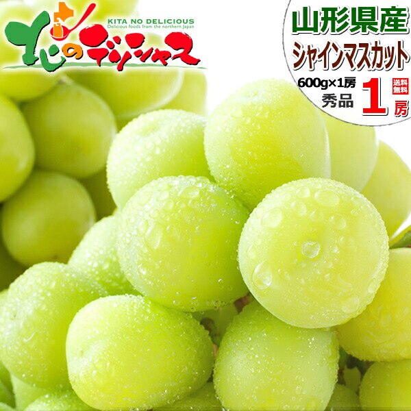 �y�\��z�R�`���Y �Ԃǂ� �V���C���}�X�J�b�g 1�[ (�G�i/600g�~1�[) ���� �u�h�E �M�t�g ���蕨 ������