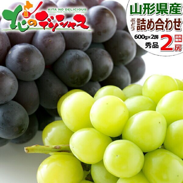 �y�\��z�R�`���Y �Ԃǂ� �V���C�����s�I�[�l 2�[ (�G�i/�e600g�~1) �u�h�E �M�t�g ���蕨 ������