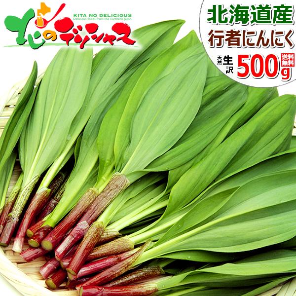 �y�o�׊ԋ߁z�k�C���Y �R�� ���ƒ�p �s�҂ɂ�ɂ� 500g (�H�p) �󂠂� �V�R �s�҃j���j�N �k�C�� ������