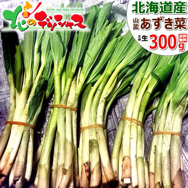 �y�\��z�k�C���Y �R�� �A�Y�L�i 300g (�H�p) �V�R �������� ������ �i���e���n�M �k�C�� ������