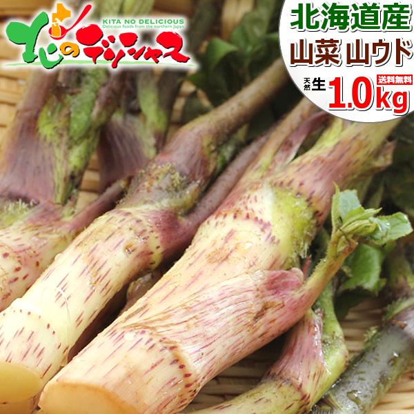 �y�\��z�k�C���Y �R�� �R�E�h 1kg (�H�p) �V�R �t���� ���� �E�h �Ɗ� �R���� ���}�E�h �k�C�� ������