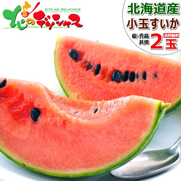 �y�\��z�k�C���Y ���ʃX�C�J 2�� (����/�D�i�E�G�i/�T�C�Y:1�� 2�`3kg) �M�t�g ���蕨 �k�C�� ������