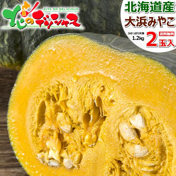 �y�\��z�k�C���Y ���ڂ��� ��l�݂₱ 2�ʓ��� (1�� 1.2kg) �J�{�`�� ��Z �p���v�L�� �k�C�� ������