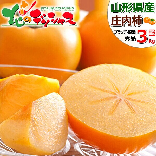 �y�\��z�R�`���Y �����` 3kg (�G�i/11�ʁ`14�ʓ���/�u�����f�[�E�a) �` ���� �M�t�g ���蕨 ������