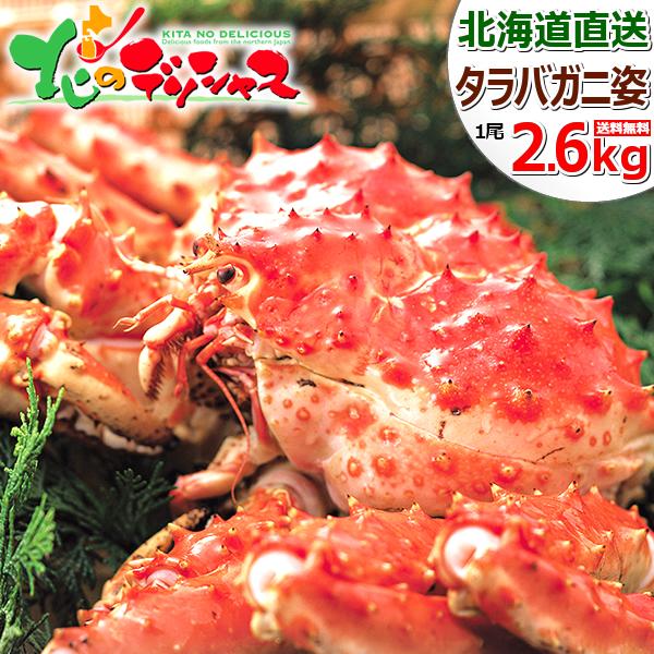 �J�j �^���o�K�j ���� 1�� 2.6kg (�p/�{�C���Ⓚ) �I �^���o �^���o�I �^���o�p �M�t�g �k�C�� ������