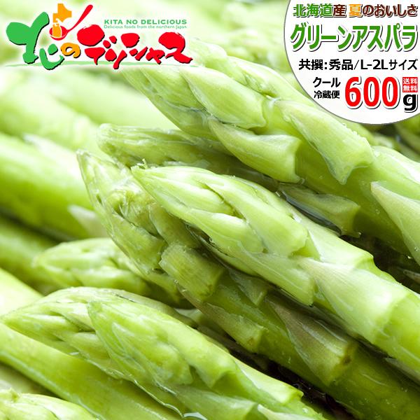 �y�\��z�k�C���Y �ăA�X�p�� �O���[���A�X�p�� 600g (����/L-2L�T�C�Y) �k�C�� ��� ������