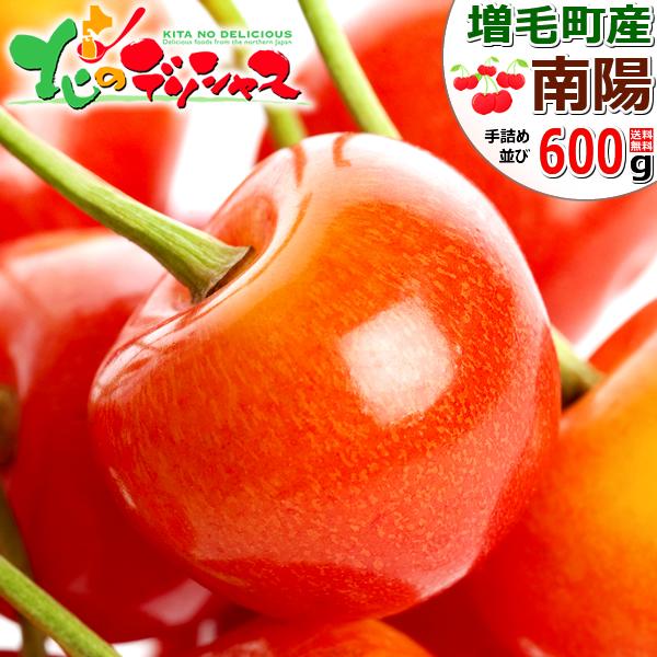 �y�\��z�k�C�� ���юY �������� ��z 600g (����/�G�i/2L/300g�~2/��l��/�N�[����) �ʕ� ������