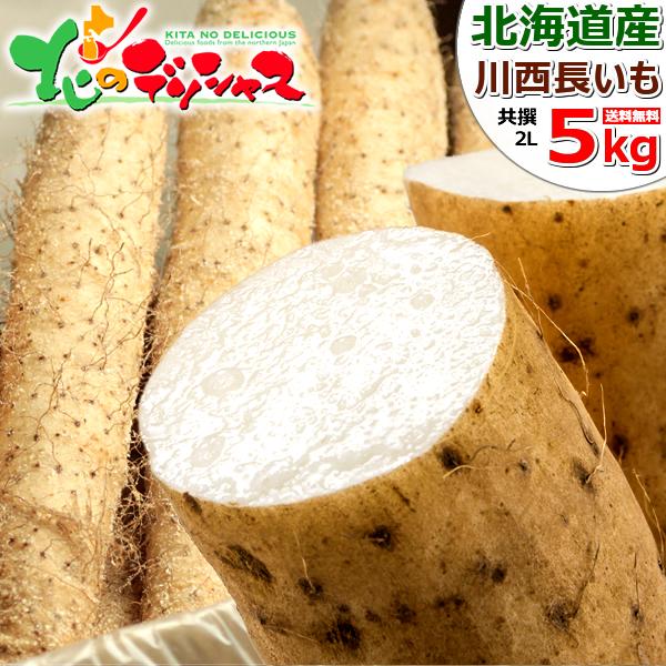 �y�o�ג��z������ �k�C���Y �\���쐼 ���� 5kg (2L�T�C�Y/6�{����) ���� �Ƃ�� �k�C�� ������