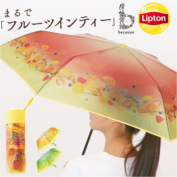 �t���[�c�C���e�B�[/���b�h because �܂肽���ݎP �r�R�[�Y B-055262 �ʔ� �܂��ݎP �r�j�[���P �܂肽���݃r�j�[���P �P �J�P ���� �J�T ��J�� 50cm 50�Z���` Lipton ���v�g�� �t���[�c�C���e�B�[ ���f�B�[�X