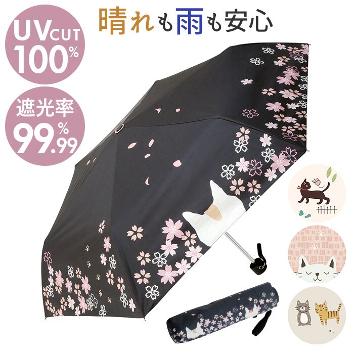 ���J���p �܂肽���ݎP �ʔ� ���P �J�P �܂��ݎP �܂肽���� �R���p�N�g �܂肽���ݓ��P �܂��ݓ��P ����J���p�P �J�T ���� �̂��Ղ炷 ������� ������ �����΍� ���킢�� �P ���f�B�[�X �Ռ� �ՔM