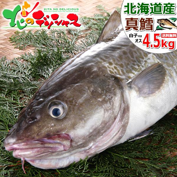 �y�\��z�k�C���Y �V�R �^�L (�}�_��) 1�{ ��4.5kg (�I�X/���q/�①�i) �^���� ���q �k�C�� ������