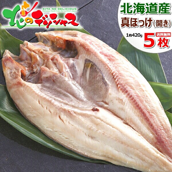 �k�C���Y ���� �^�ق������݊��� 5�� (�J��/����/�s�`�s�`����) ���� �^�z�b�P �M�t�g �k�C�� ������