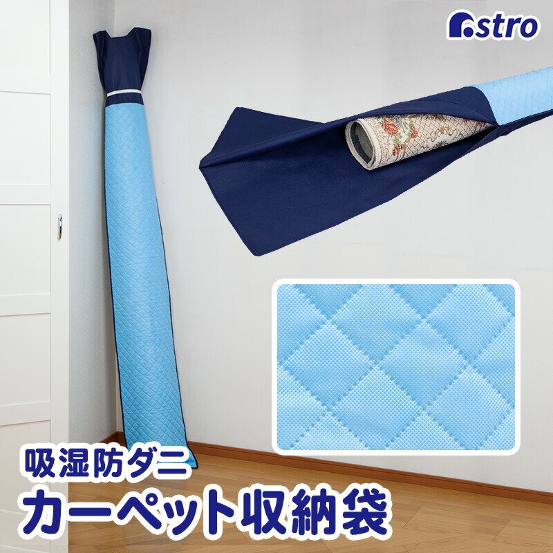 �h���C���h���C�z���h�_�j �J�[�y�b�g���[��