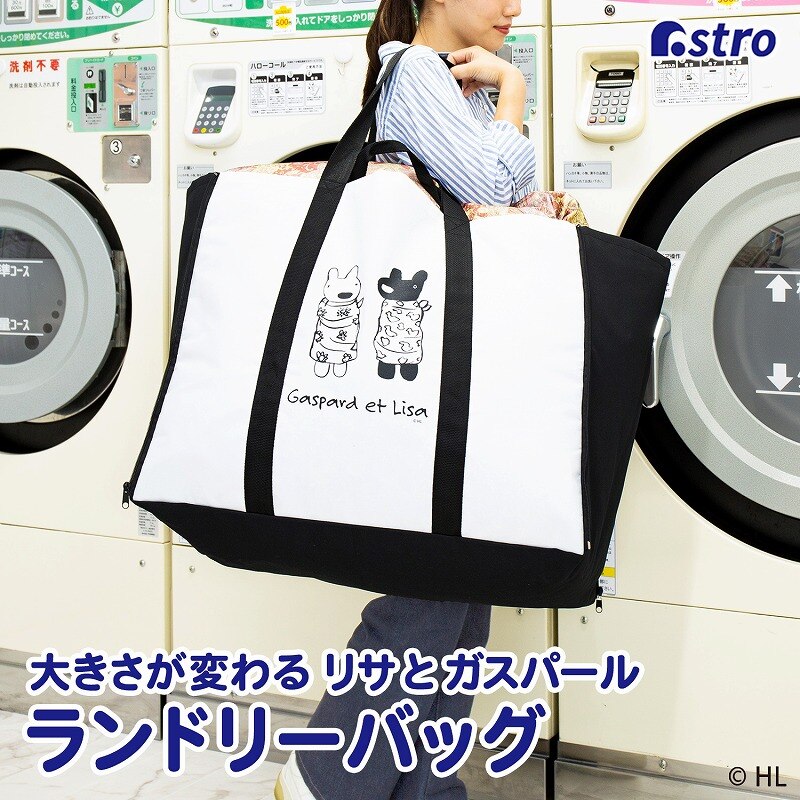 ���T�ƃK�X�p�[�� ���z�c������傫�ȃ����h���[�o�b�O