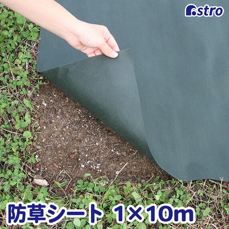 �h���V�[�g �O���[�� 1*10m 80