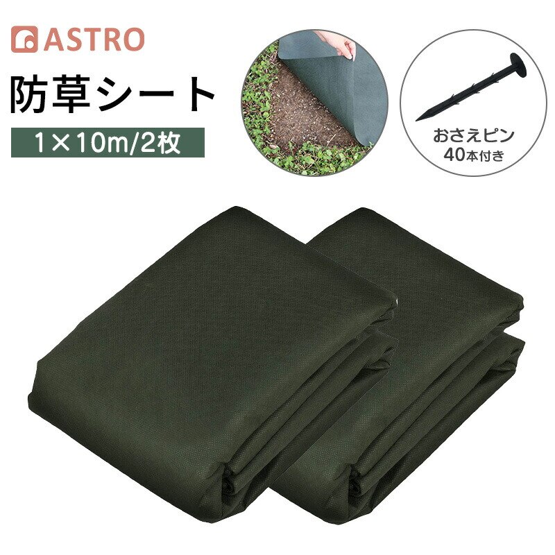 ���|�p�h���V�[�g 1�~10�� 2�Z�b�g+�������s��40�{�t��