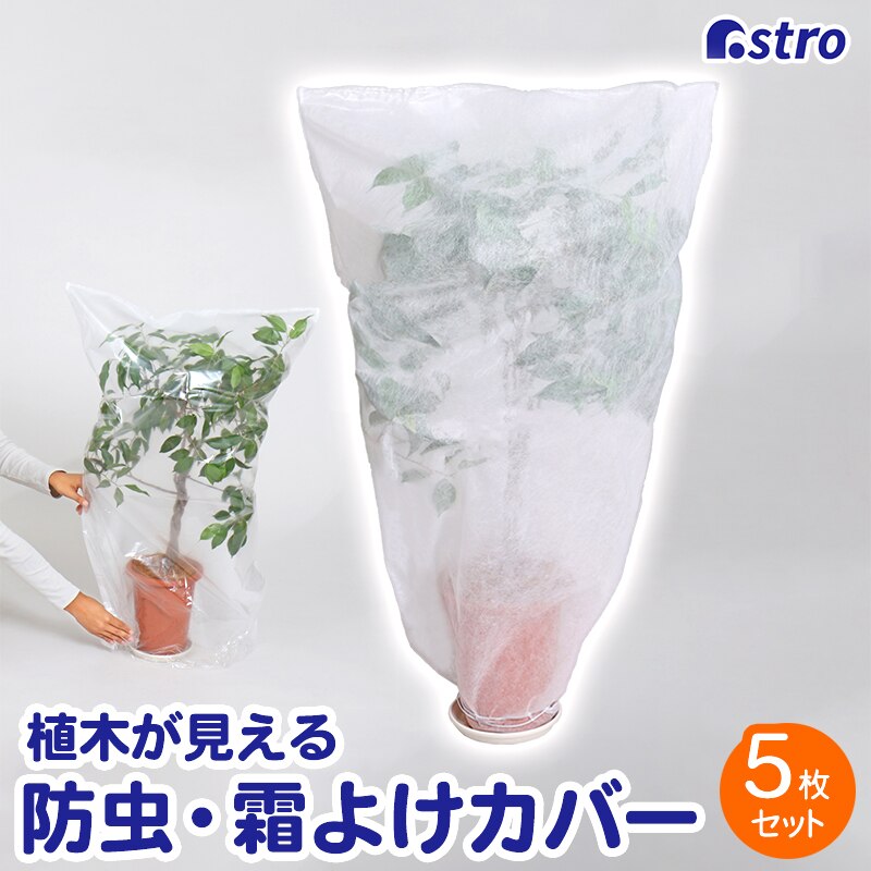 �A�؂������� �s�D�z�h���E���悯�J�o�[ 5���g