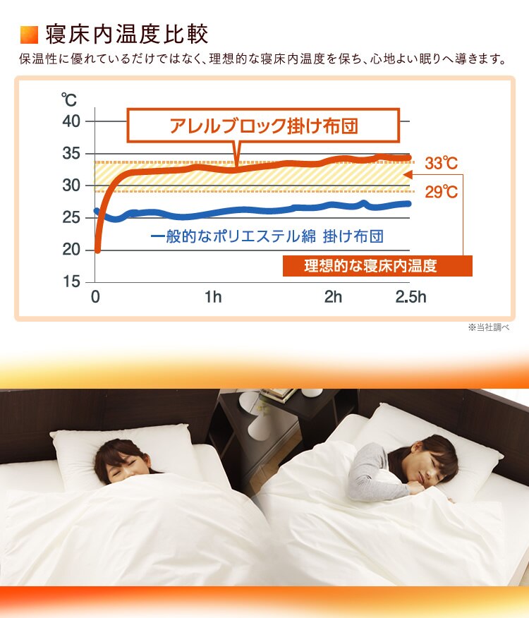 アレルブロック　掛布団
