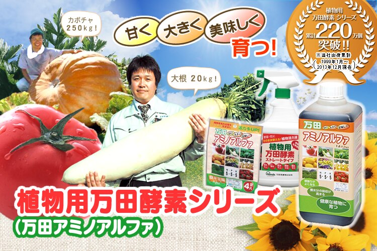 ���c�y�f�V���[�Y