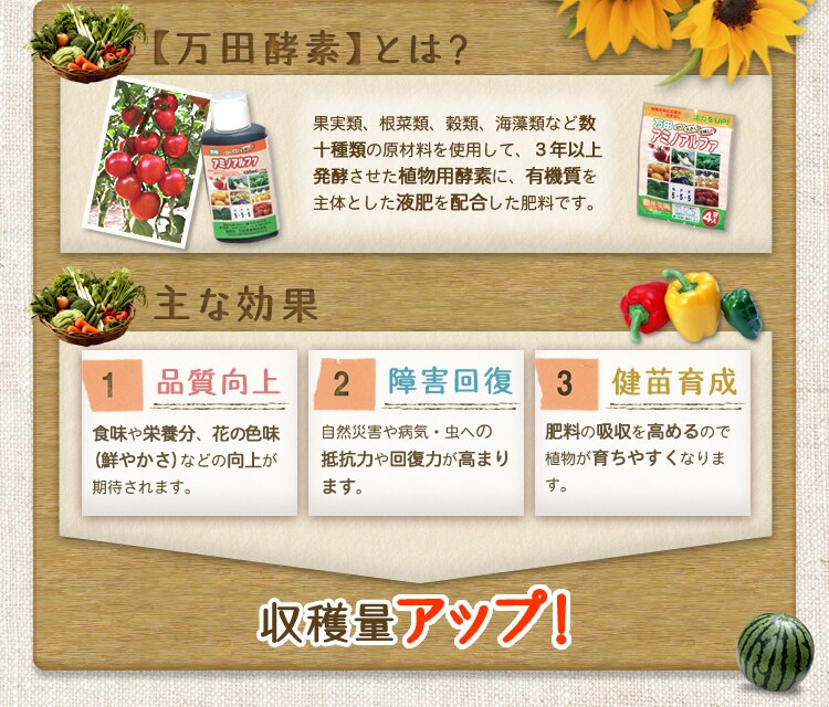 ���c�y�f�V���[�Y