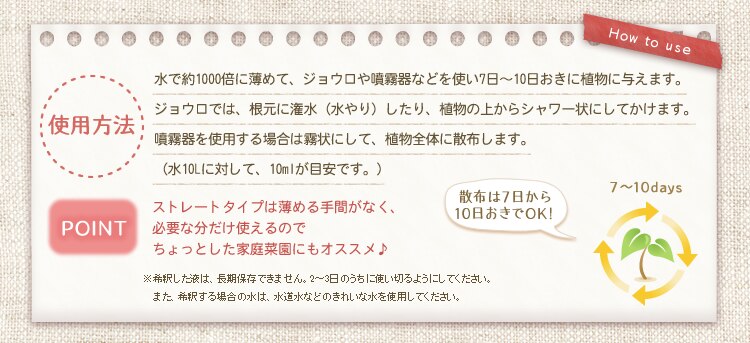 ���c�y�f�V���[�Y