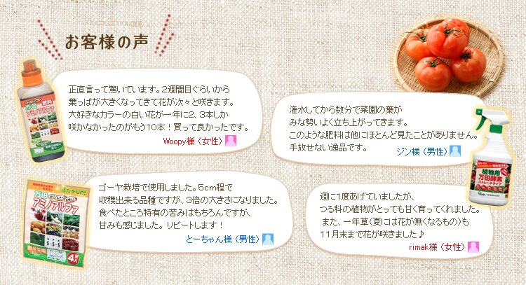 ���c�y�f�V���[�Y