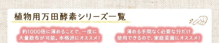 ���c�y�f�V���[�Y