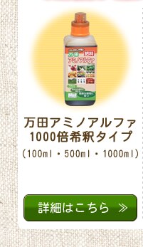 ���c�y�f�V���[�Y