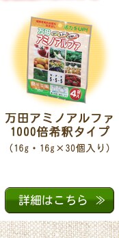 ���c�y�f�V���[�Y